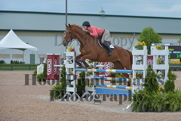 BRSa(5-17-14)HChAdJ0177