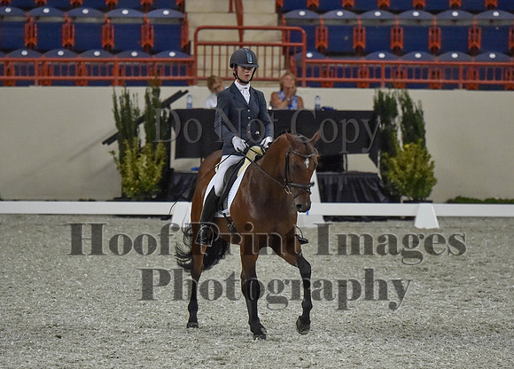 CWdressageI(8-20-16)0339