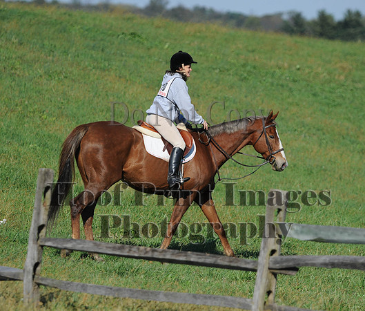 Cheshire(10-20-13)0629