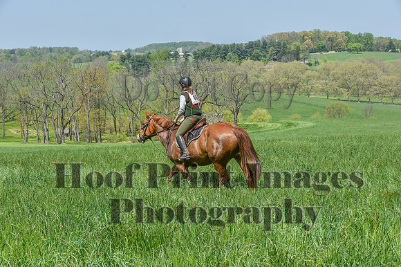 CheshireSpringPC1(4-28-24)0288