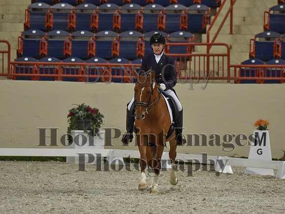 CWdressageI(8-20-16)1334