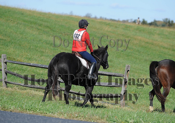 Cheshire(10-19-14)0198