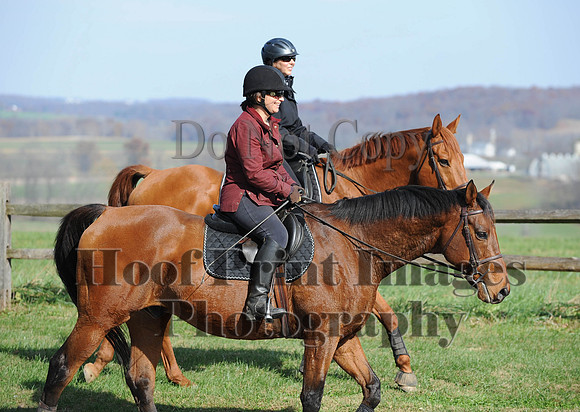 AndrewsBr(11-9-14)0244