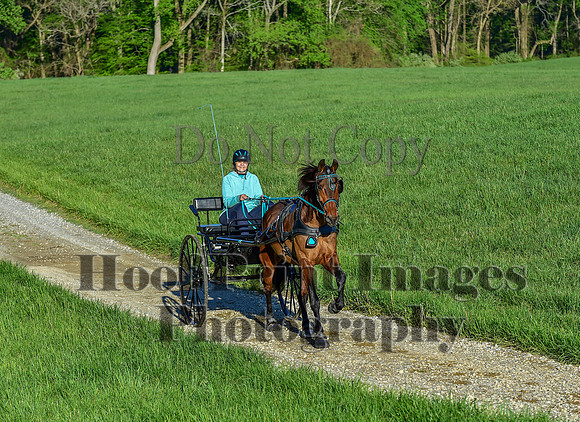 ChesapeakeSpring(4-27-25)0039