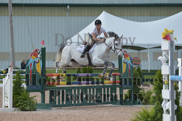 BRSa(5-17-14)HChAdJ0084
