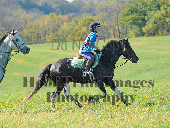 Cheshire(10-20-13)0691