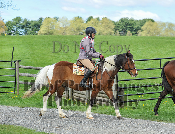 MrStewartsCheshirePC1(4-27-25)0121