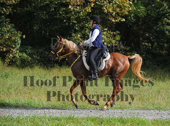 ChesapeakeCTR(9-20-14)0250
