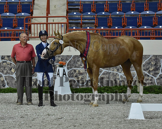 CWdressageII(8-21-16)1440