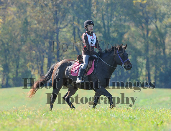 Cheshire(10-20-13)0487
