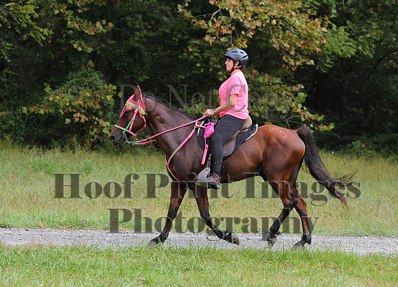 ChesapeakeCTR(9-20-14)0283