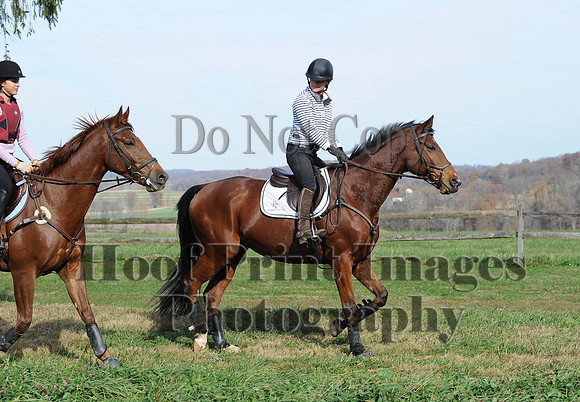 AndrewsBr(11-9-14)0499