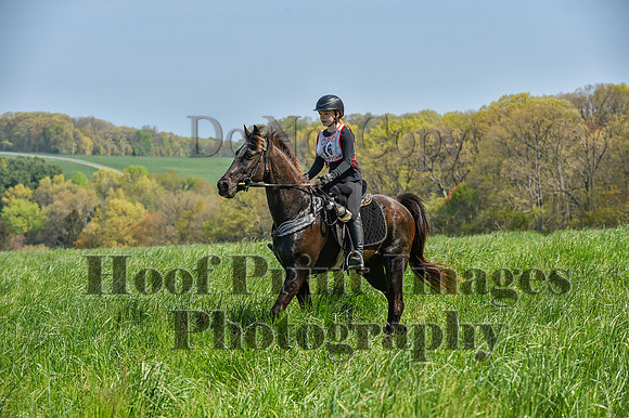 CheshireSpringPC1(4-28-24)0090