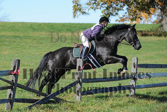 Cheshire(10-19-14)0189