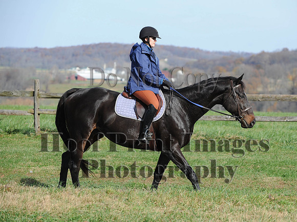 AndrewsBr(11-9-14)0350