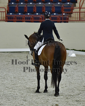 CWdressageII(8-21-16)2210