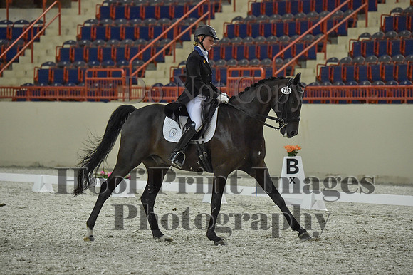 CWdressageI(8-20-16)1480