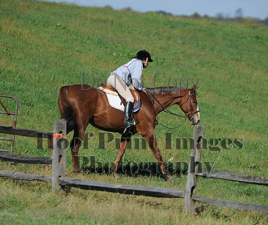 Cheshire(10-20-13)0627