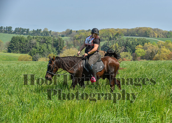 CheshireSpringPC1(4-28-24)0095