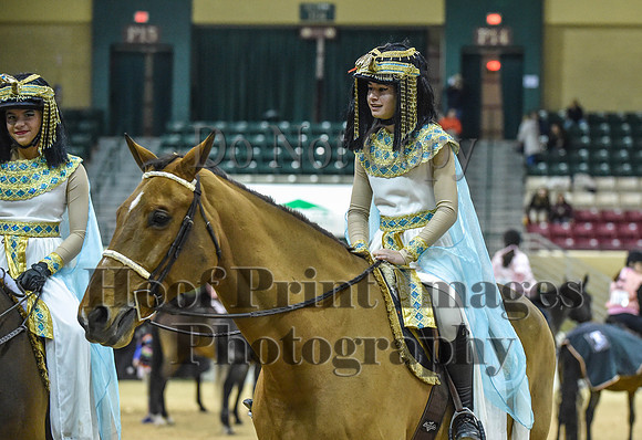 MidAtEqFest(11-14-15)1404