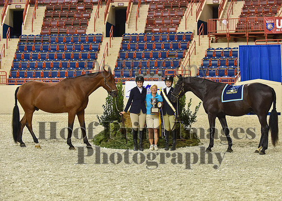 HarrisburgHS(8-23-15)1309