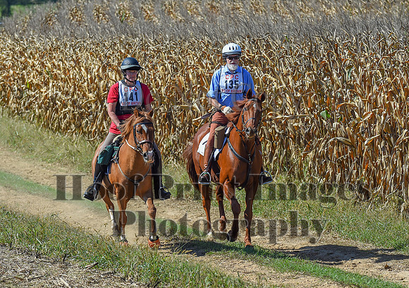 CheshirePonyClubPC(10-6-24)0633