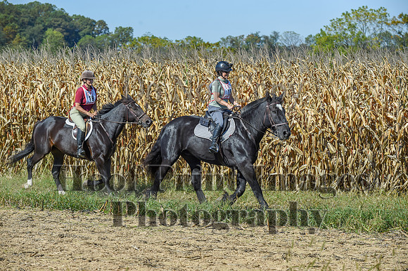CheshirePonyClubPC(10-6-24)0382
