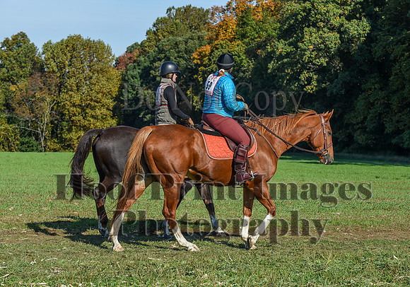 CheshirePC(10-18-20)0210