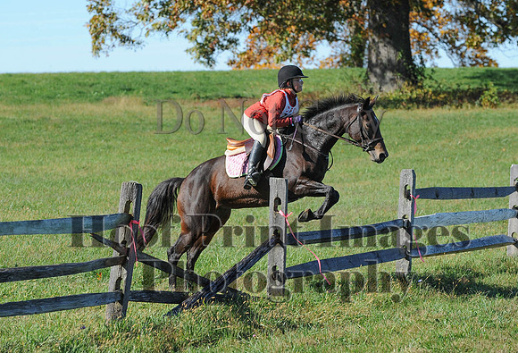 Cheshire(10-19-14)0484