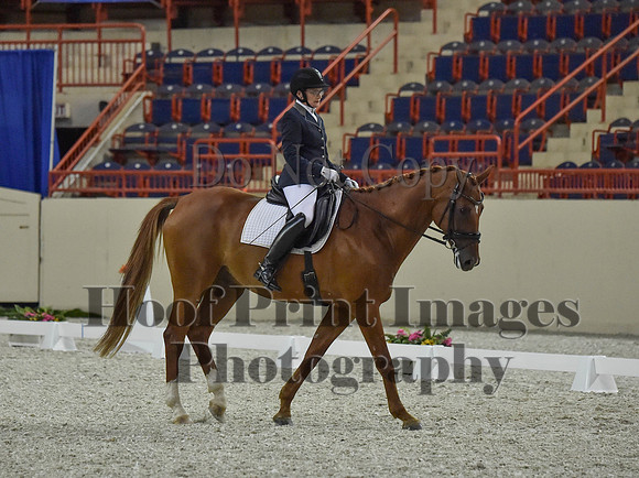 CWdressageI(8-20-16)0780