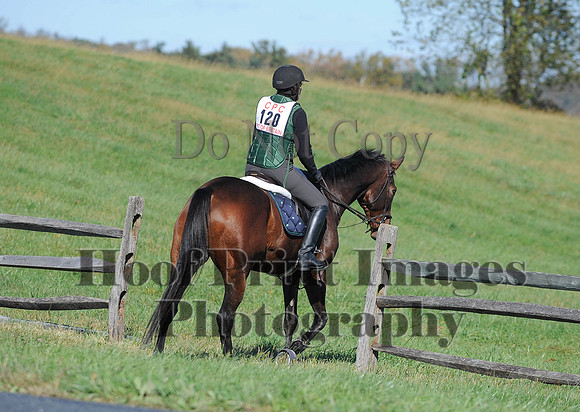 Cheshire(10-19-14)0212