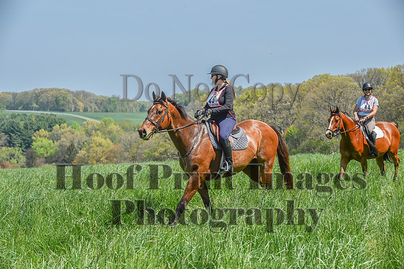 CheshireSpringPC1(4-28-24)0295