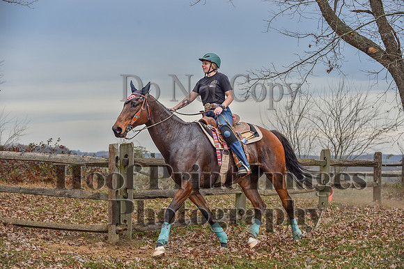 AndrewsBrHuntPace(11-10-24)0213