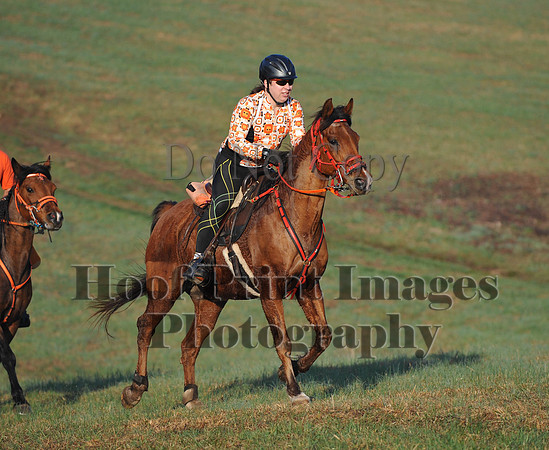 Foxcatcher(4-12-14)0525