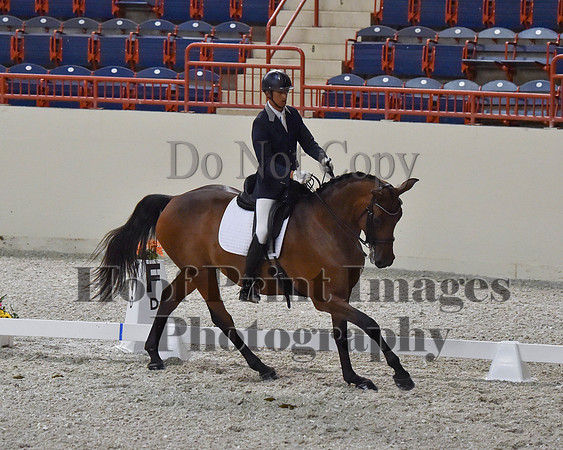 CWdressageII(8-21-16)2279