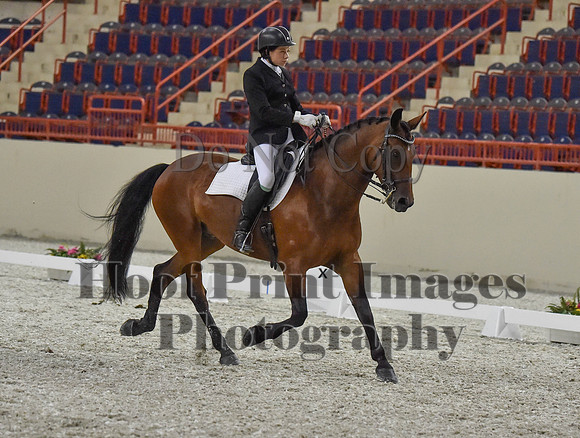 CWdressageI(8-20-16)1290