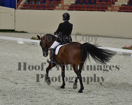 CWdressageII(8-21-16)1630