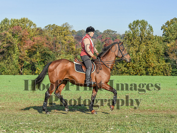 CheshirePC(10-18-20)0066