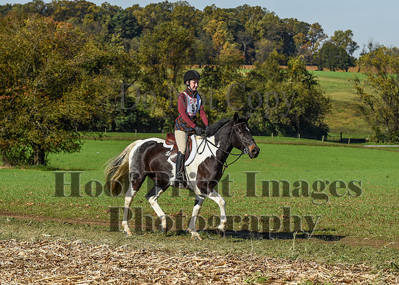 CheshirePC(10-18-20)0355
