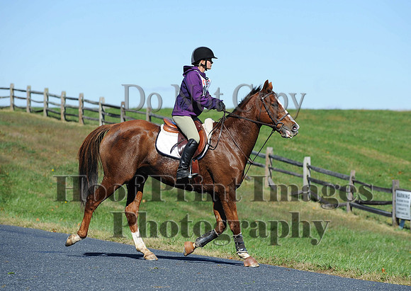 Cheshire(10-19-14)0042