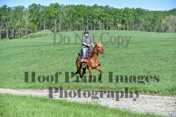 ChesapeakeSpring(4-27-25)0348