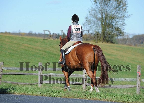 Cheshire(10-19-14)0463