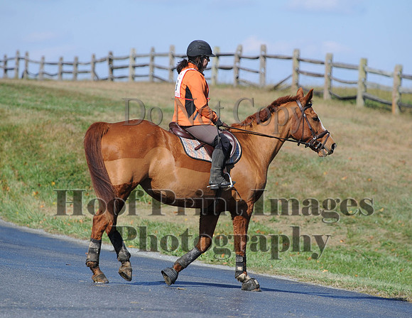 Cheshire(10-20-13)0443