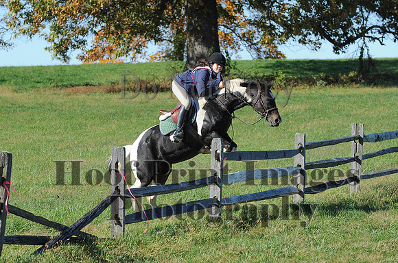 Cheshire(10-19-14)0497