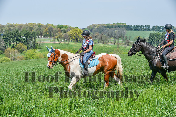 CheshireSpringPC1(4-28-24)0403