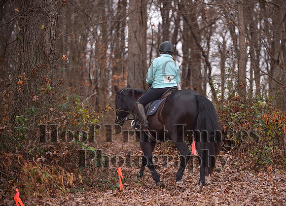 AndrewsBrHuntPace(11-10-24)0091