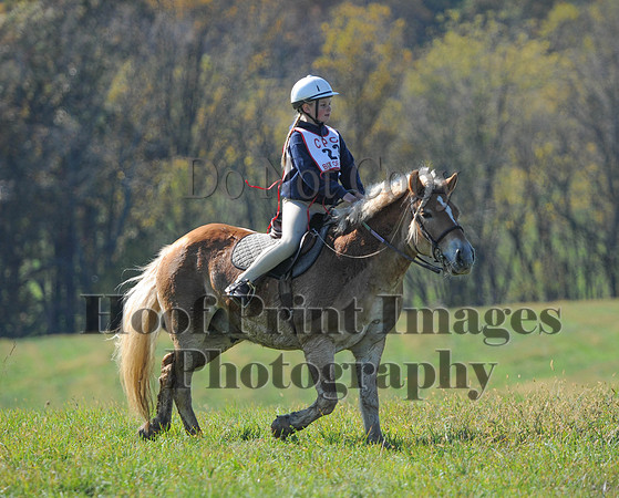 Cheshire(10-20-13)0492