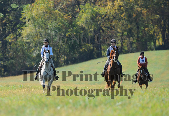 Cheshire(10-20-13)0281