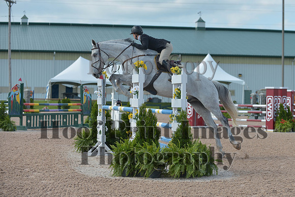 BRSa(5-17-14)HChAdJ0047
