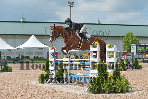 BRSa(5-17-14)HChAdJ0199
